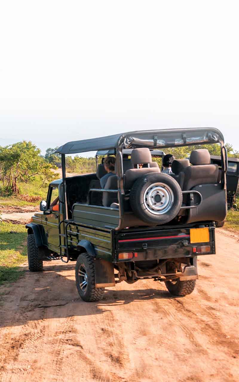 Jetwing Travels – airline & tickets in Sri Lanka – photo 8