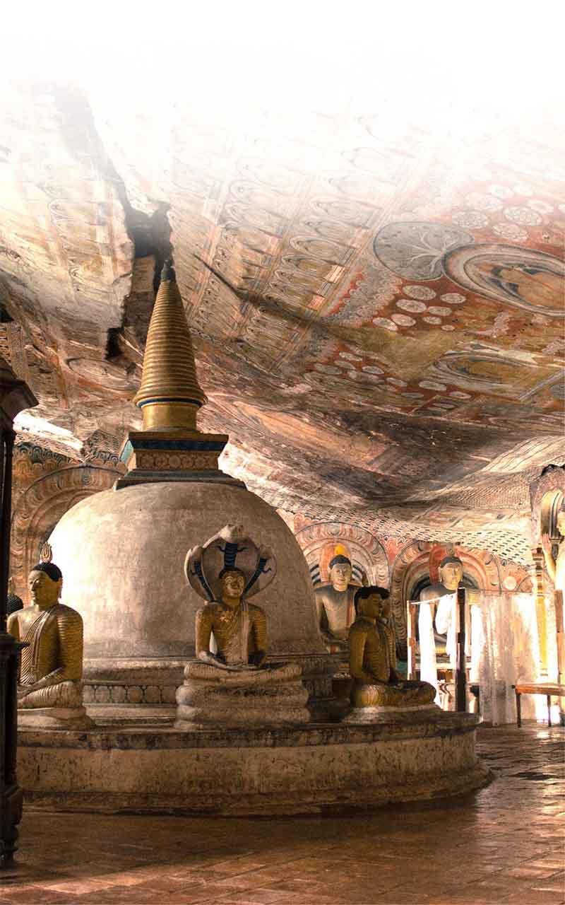 Jetwing Travels – airline & tickets in Sri Lanka – photo 6