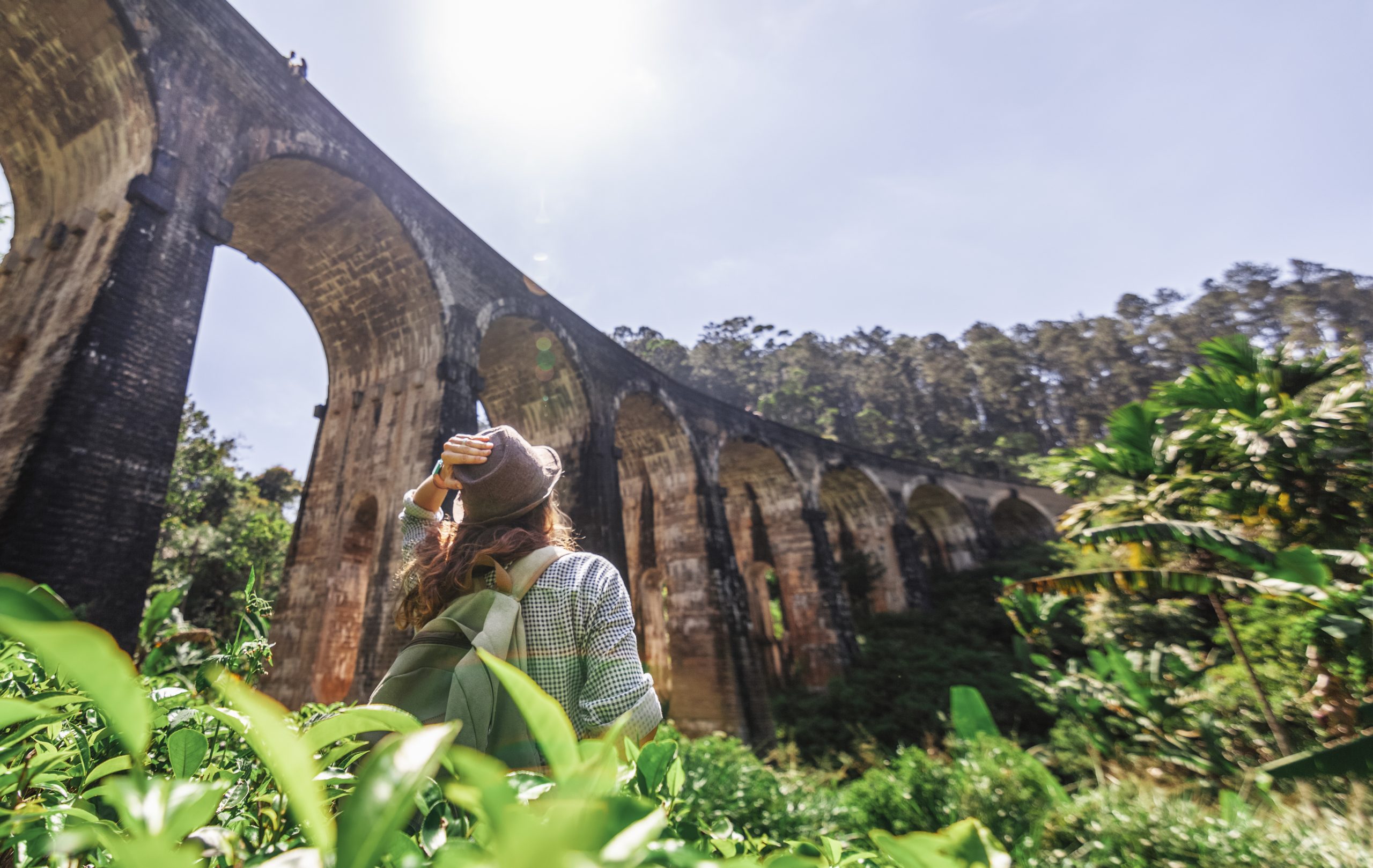 A female traveler watching the Night Arch Bridge from a tea field