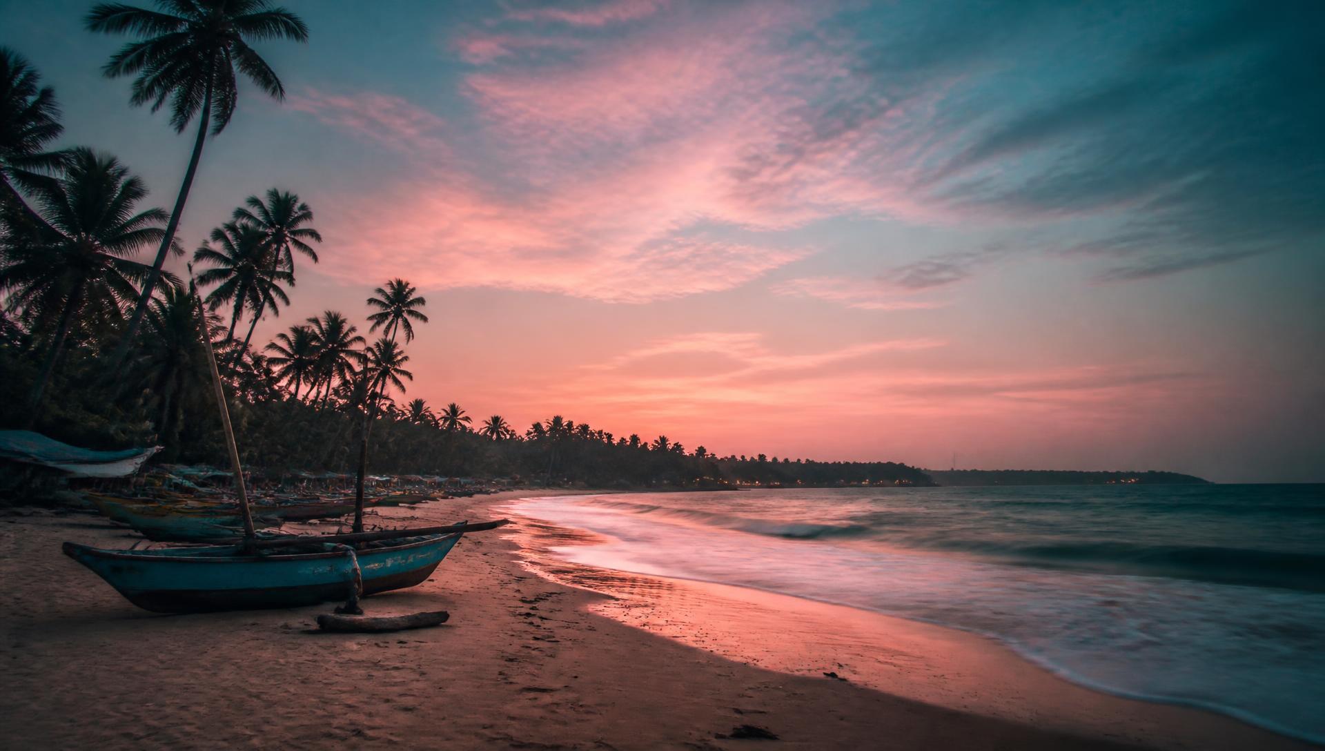 Fishing catamarans on a palm-fringed Sri Lankan beach at dusk